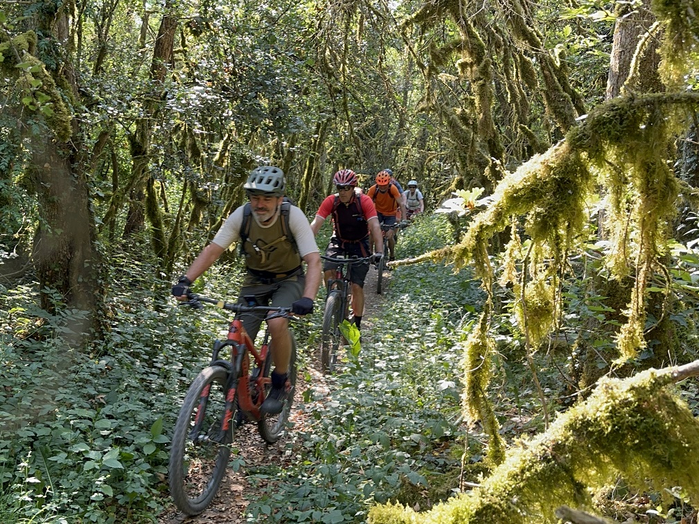 Biketage Yverdon-les-Bains